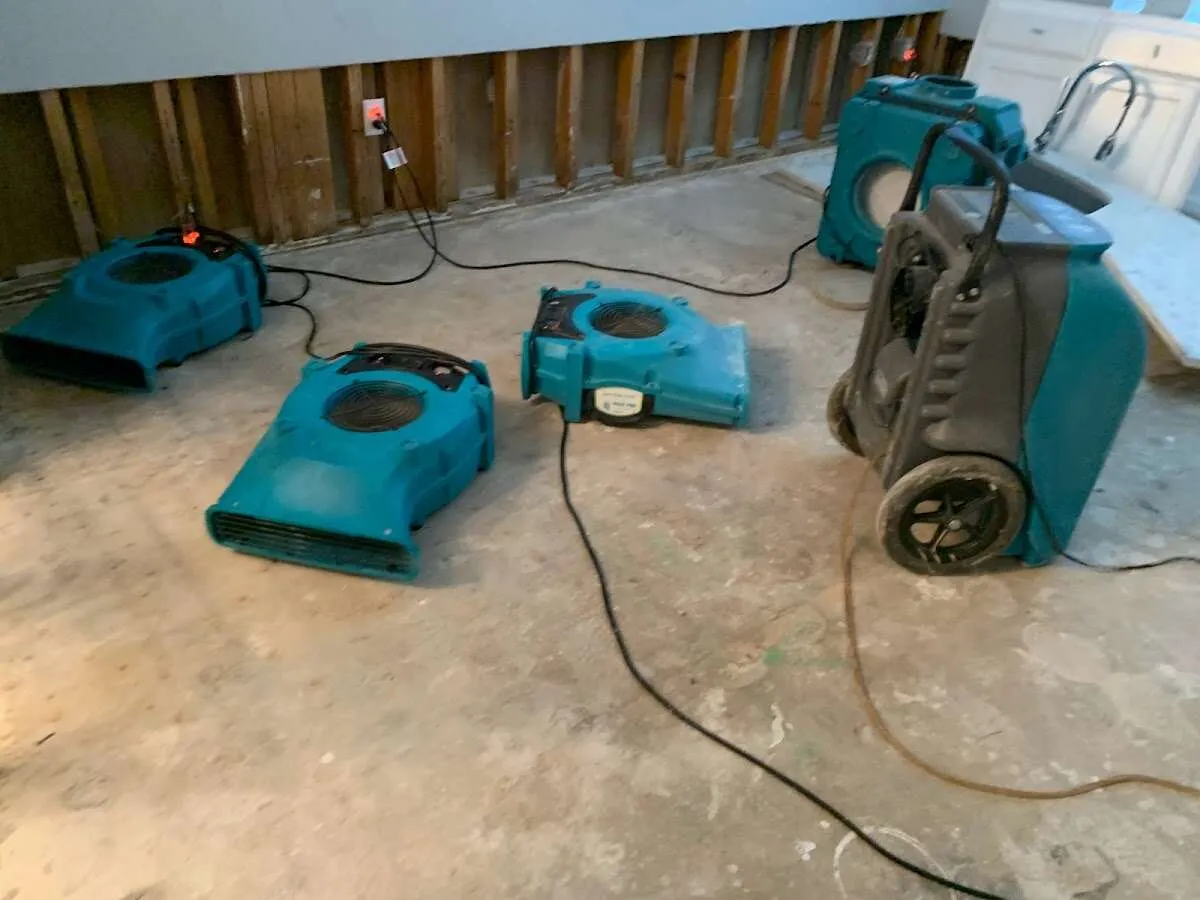 Mold Remediation & Removal in Genoa, MI